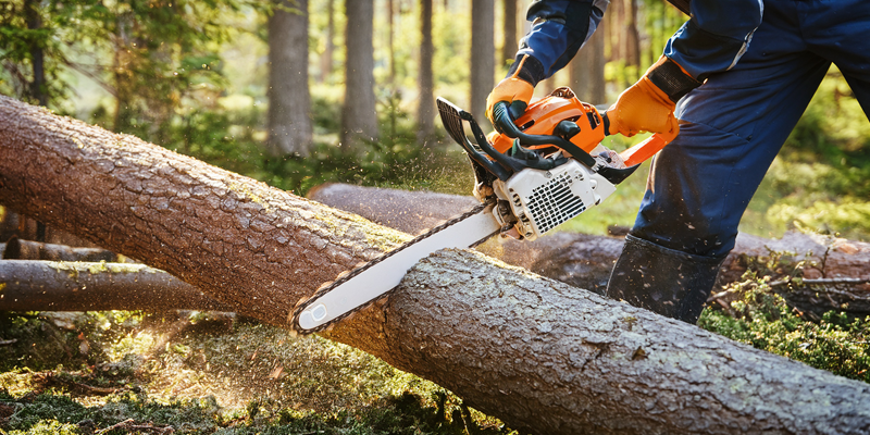 Trädfällning - Säker och effektiv trädfällning och trädvård